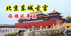 多男操逼女人视频网站中国北京-东城古宫旅游风景区
